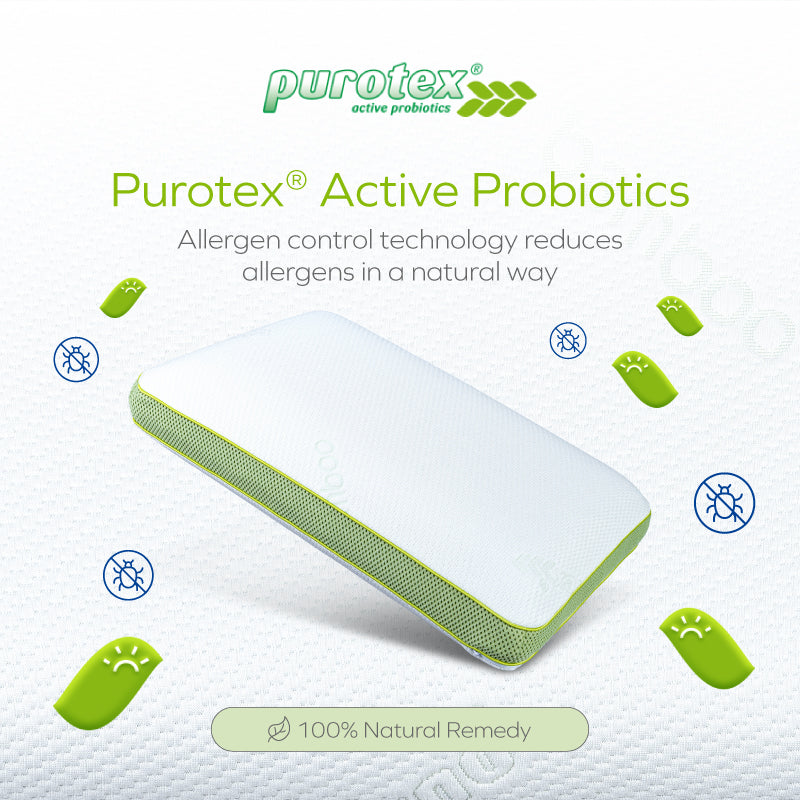 Purotex Bamboo Charcoal Pillow